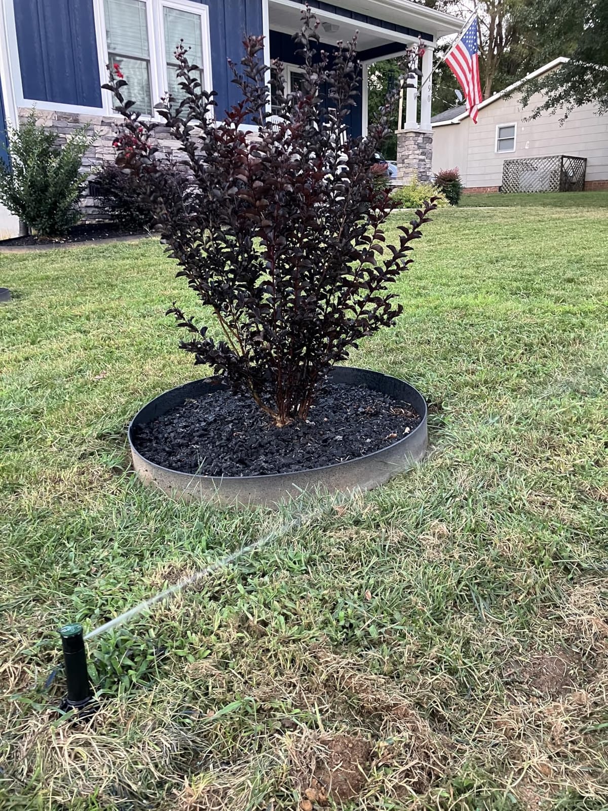 Orbit 2-Zone All-in-One Automatic Watering System, DIY Lawn Kit - 50021 customer photo 2