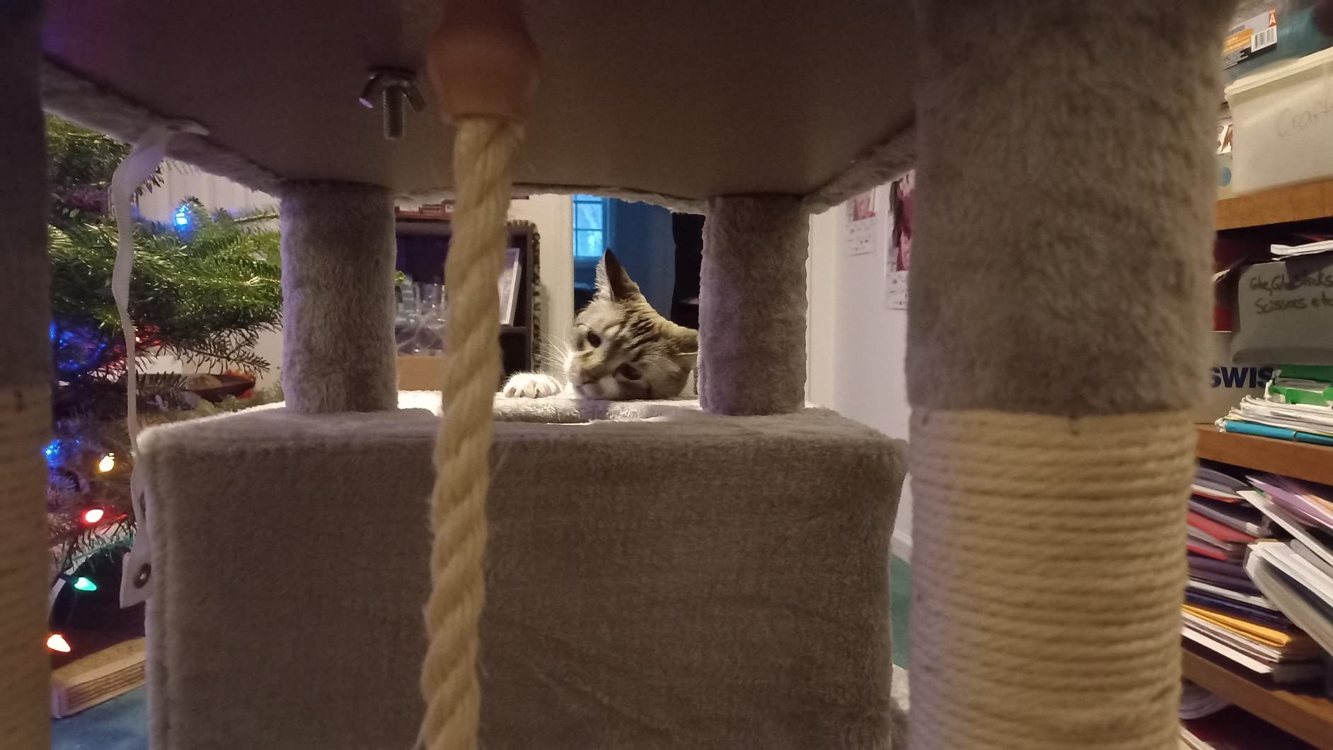 Hey-brother Cat Tree Tower with Sisal Scratching Posts, Big Condo, MPJ020W customer photo 1