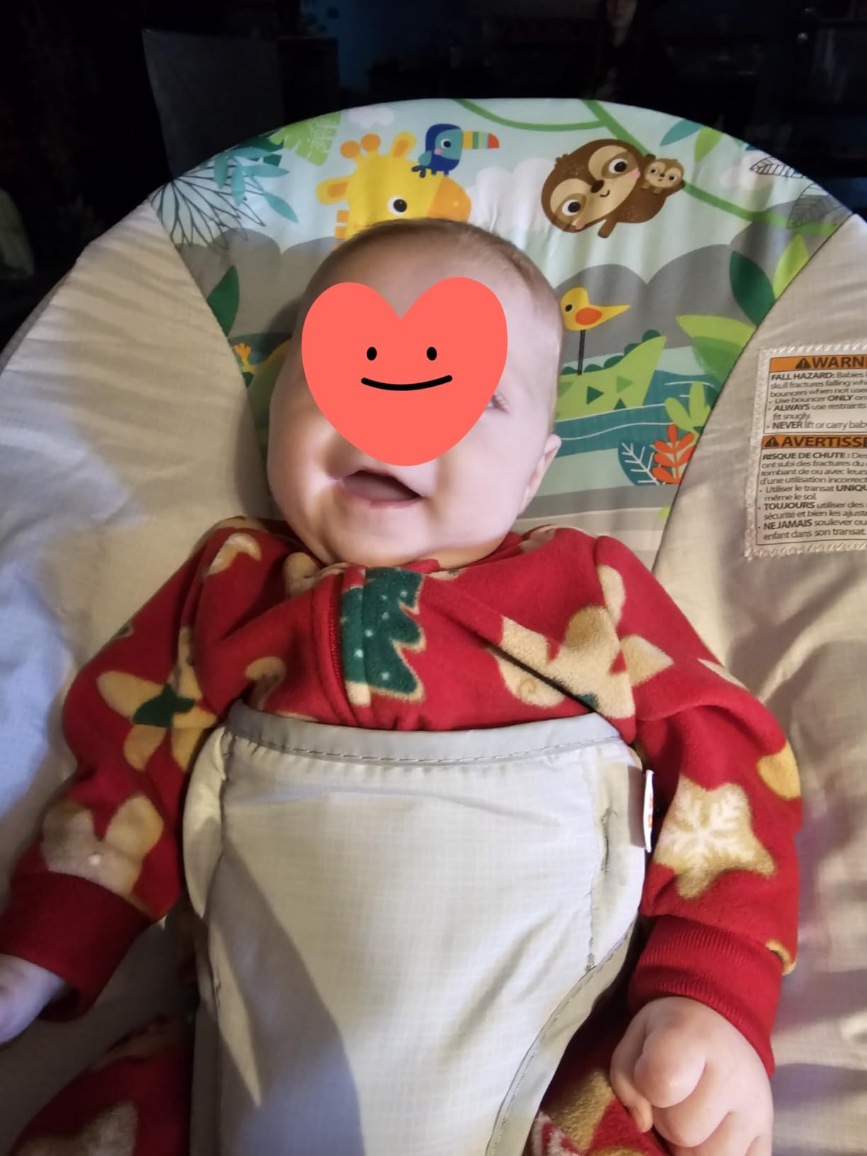 Bright Starts Baby Bouncer Soothing Vibrations Infant Seat - Removable -Toy Bar, Nonslip Feet, 0-6 Months Up to 20 lbs (Safari Fun) customer photo 1