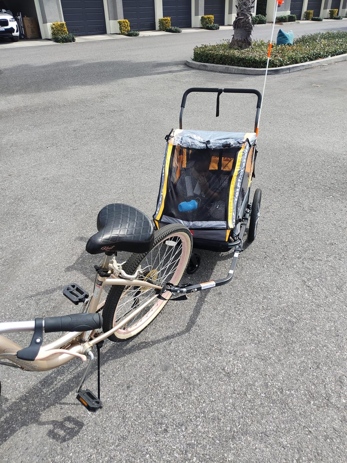 Allen Sports Deluxe Bike Trailer & Stroller customer photo 1