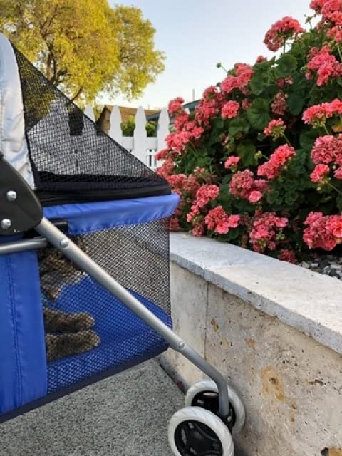 Dog Stroller Pet Stroller Cat Strollers Jogger Folding Travel Carrier Durable 4 Wheels Doggie Cage with Cup Holders 35Lbs Capacity Waterproof Puppy Strolling Cart for Small-Medium Dogs, Cats - Teal customer photo 2