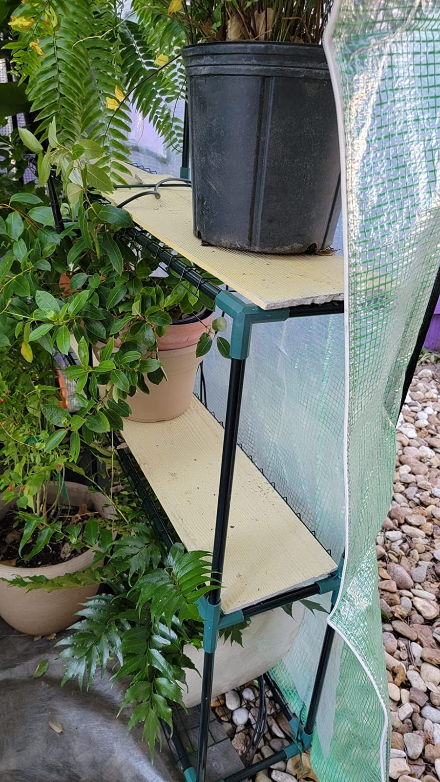 Ohuhu Greenhouse for Outdoors with Mesh Side Windows, 3 Tiers 4 Shelves Small Walk-In Green House Plant Stands Plastic PE Cover Outside Portable Warm House for Seedling Flowers Growing, 4.8x2.5x6.4 FT customer photo 2