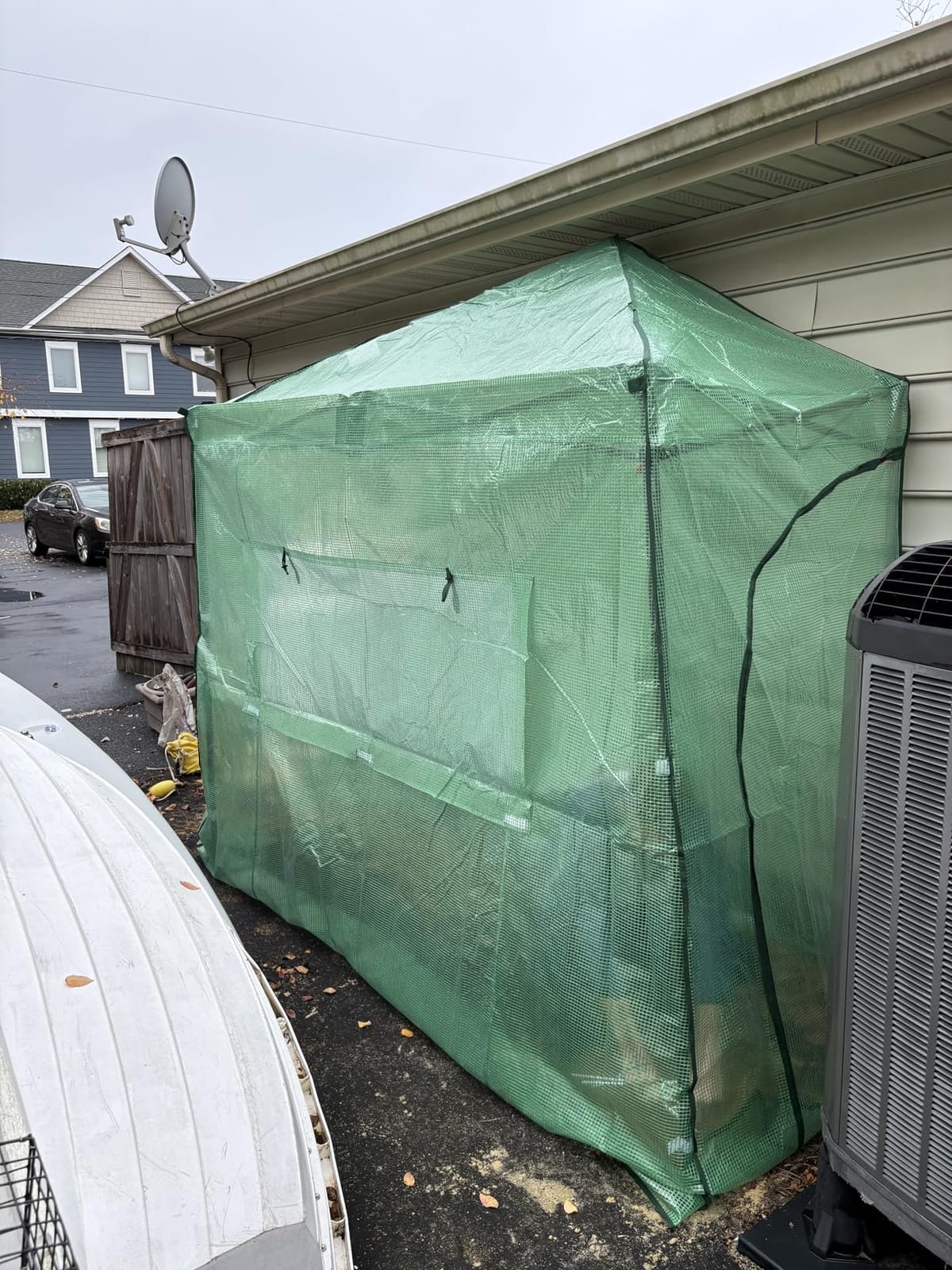 EAGLE PEAK 8x6 Easy Setup Pop Up Greenhouse, Clear/Green customer photo 1