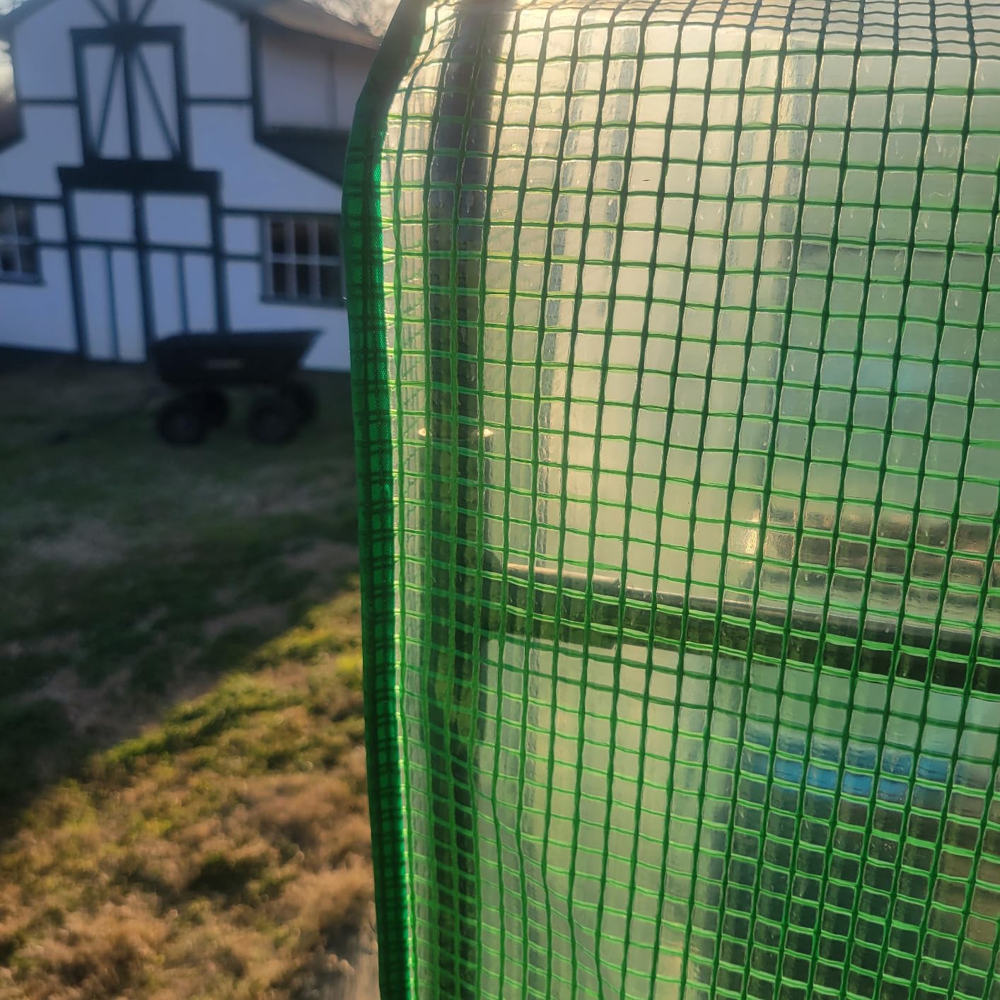 Portable Walk-in Greenhouse for Outdoors, 56x30x76 Plant House with Shelves customer photo 1