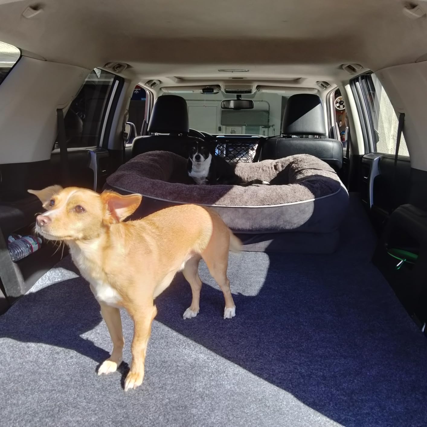 Drymate Cargo Liner Mat (60” x 72”), Dog Seat Cover, Trunk Liner, Absorbent, Waterproof, Machine Washable, Protects Vehicle Interior, for SUVs, Trucks, Vans, Cars (Made in The USA) customer photo 1