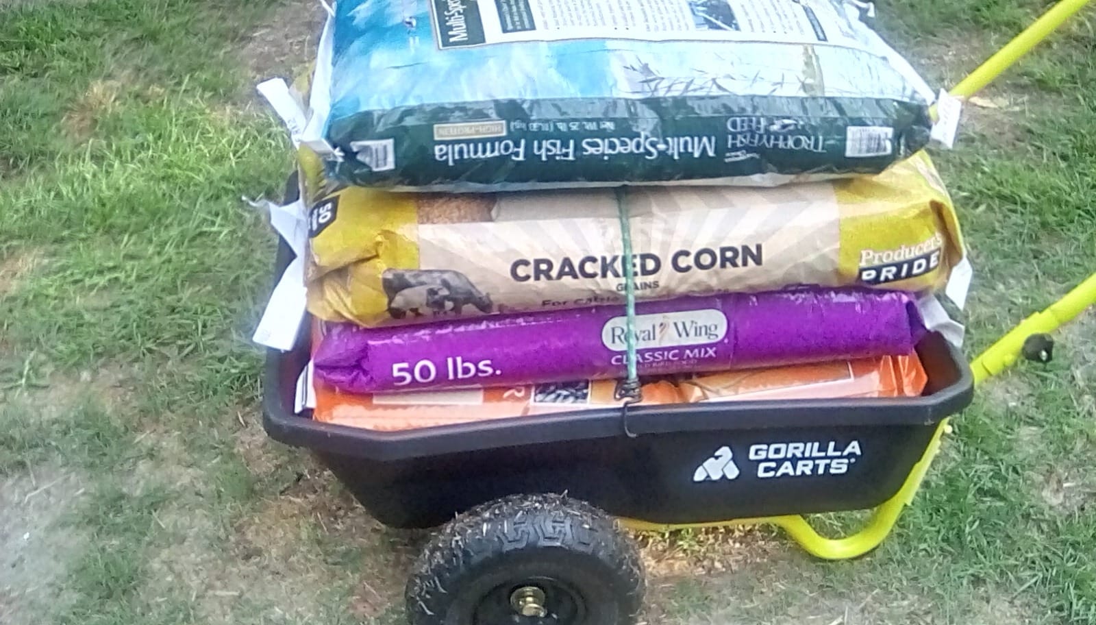 Gorilla Carts Poly Dump Cart, 2-Wheel Garden Wagon, 4 Cu Ft, 300lb Capacity customer photo 2