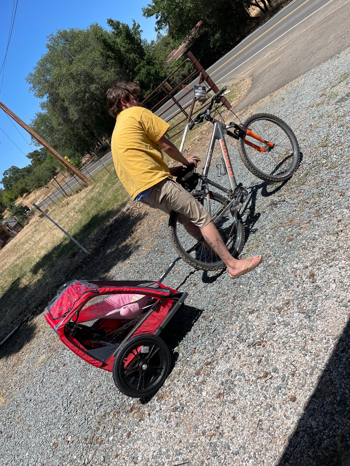 Allen Sports Hi-Viz 2-Child Bicycle Trailer, Model ET2 customer photo 2
