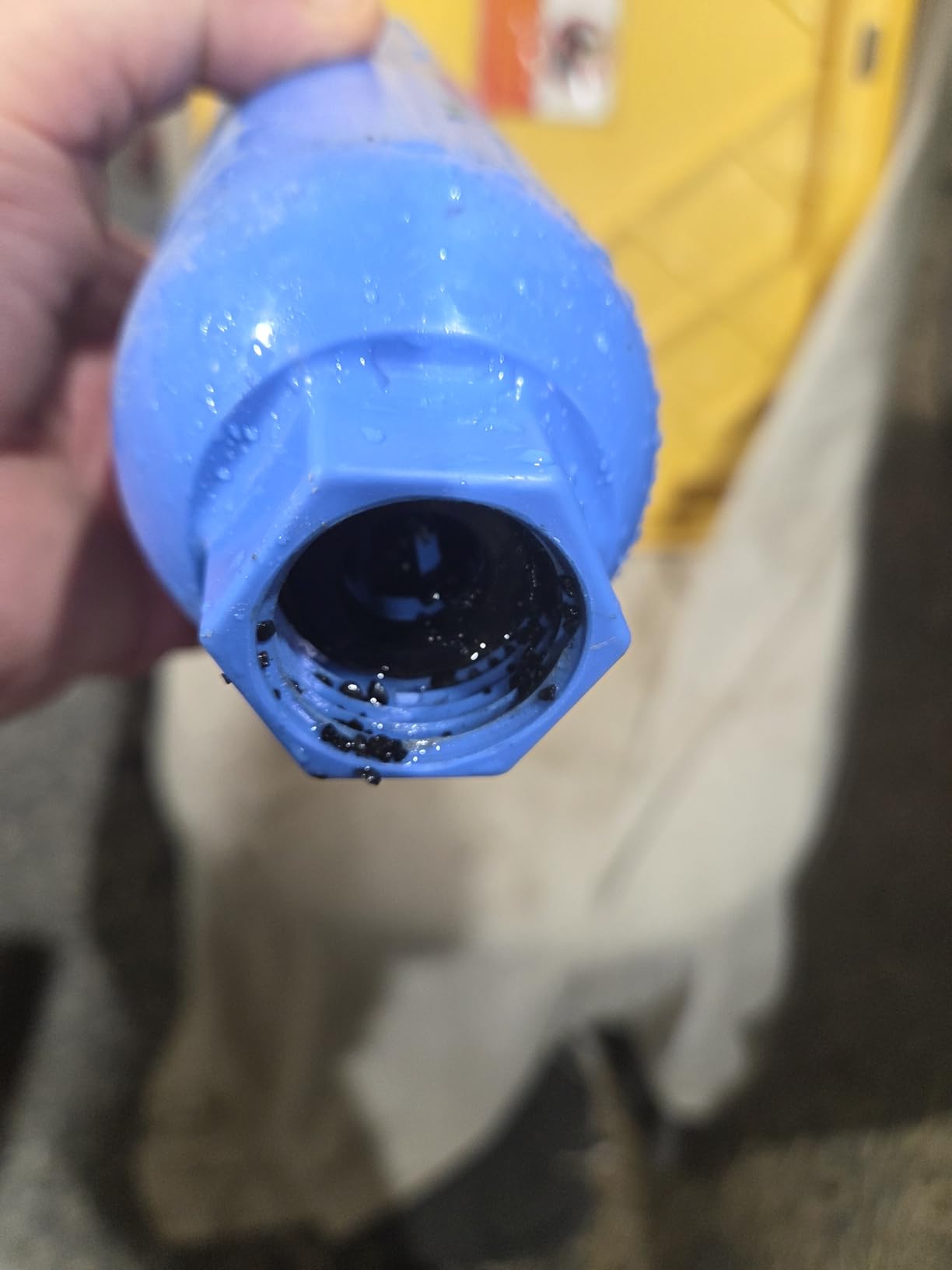 BELVITA RV inline water filter with Flexible Hose Protector customer photo 1