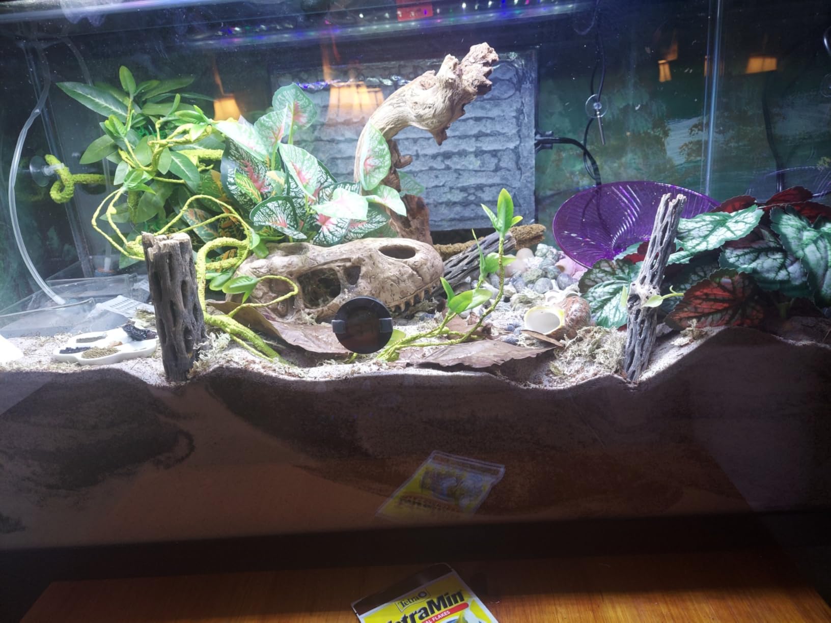 Tetra 55 Gallon Glass Aquarium, Rectangular Fish Tank customer photo 2