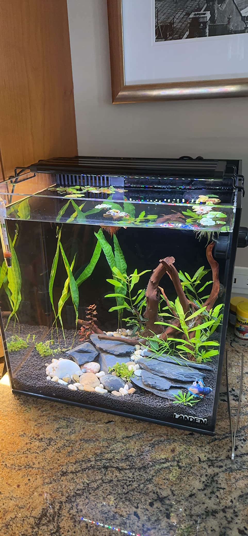 LANDEN EzFlux 35 Rimless 10 Gallon Rear Filtration Tank, Pump Included customer photo 2