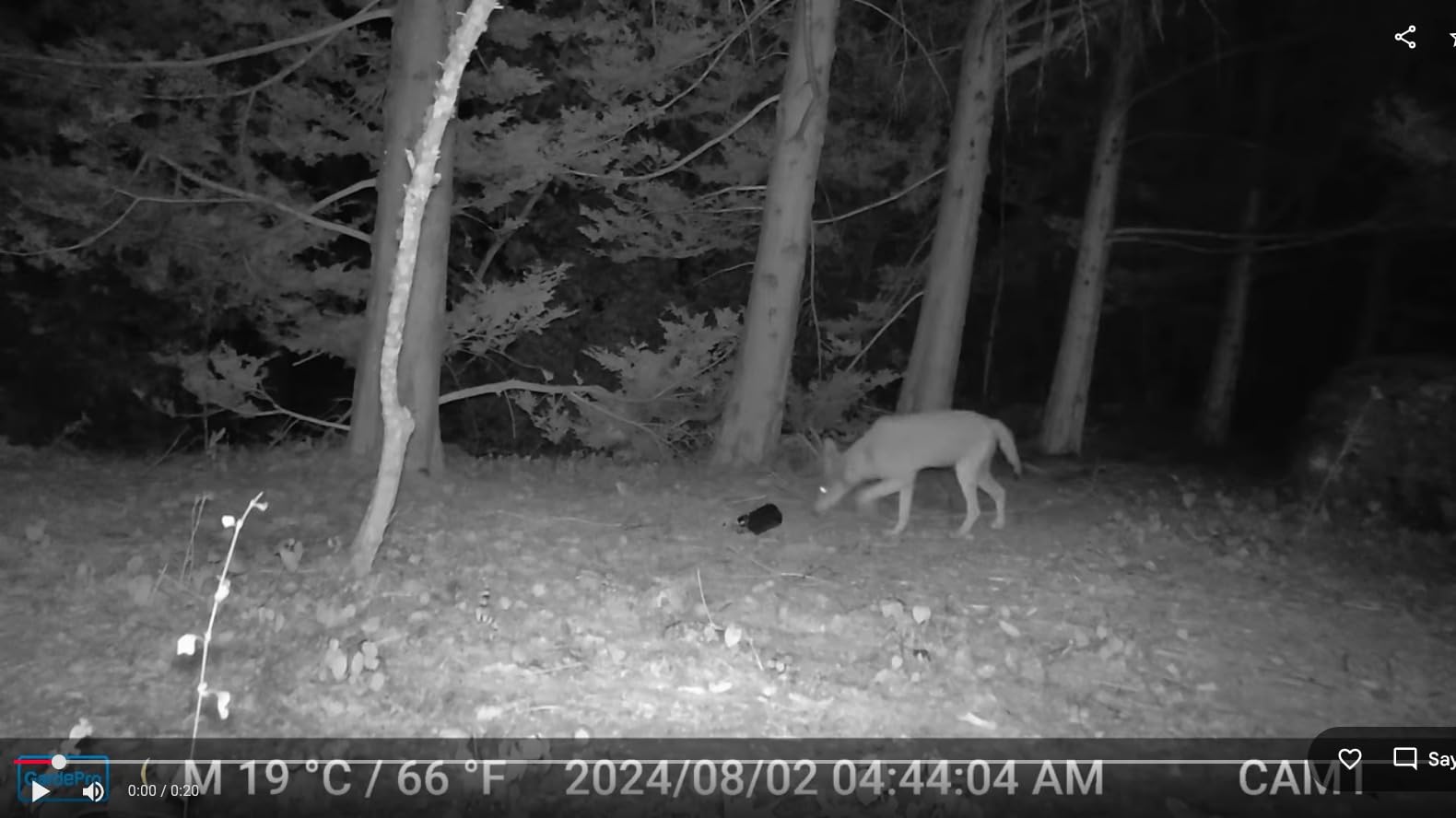 GardePro E6 WiFi Trail Camera, Stable WiFi with External Antenna customer photo 1