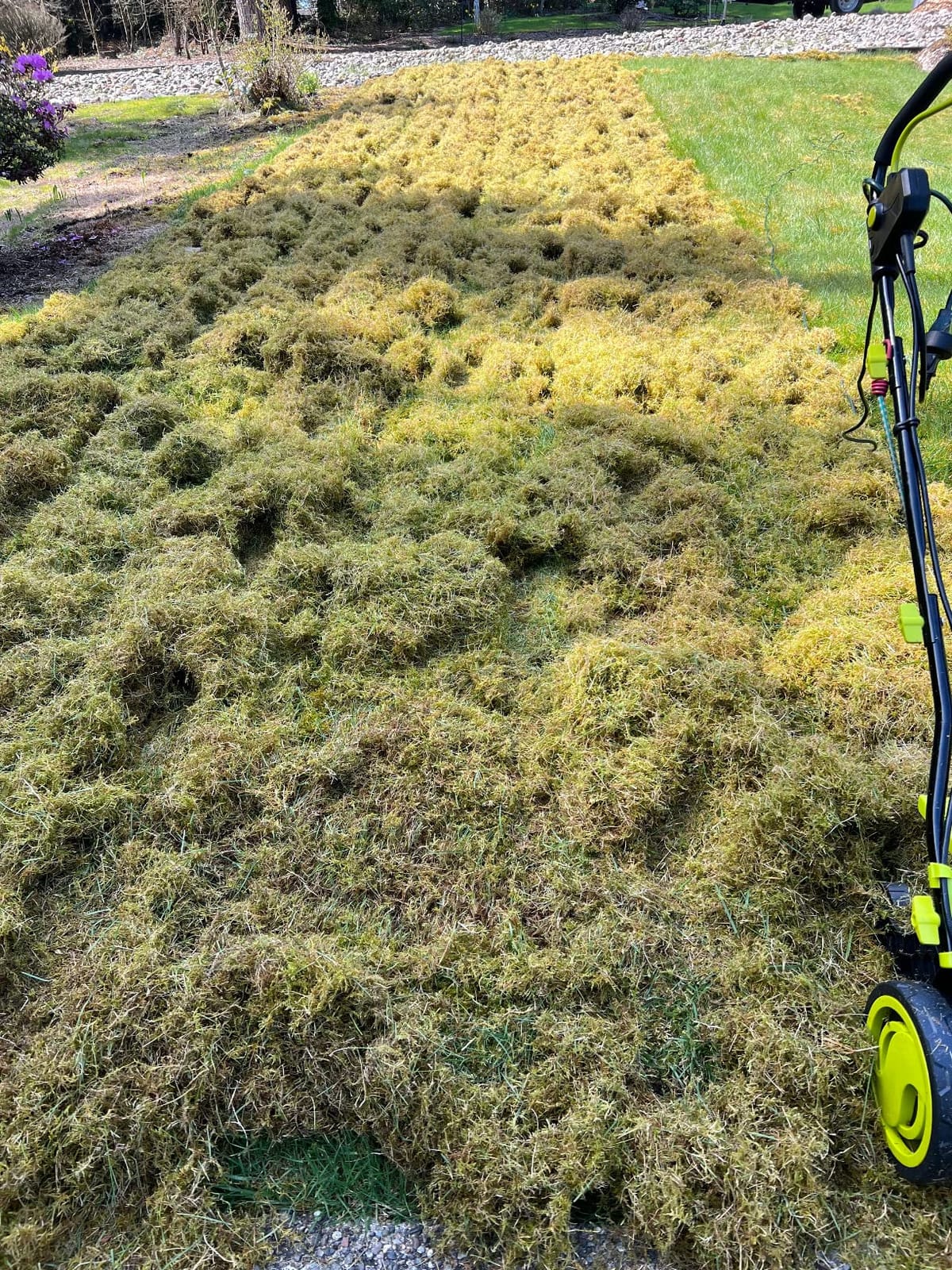 Sun Joe 15-Inch Lawn Dethatcher with Scarifier Blade Reel, AJ805E customer photo 1