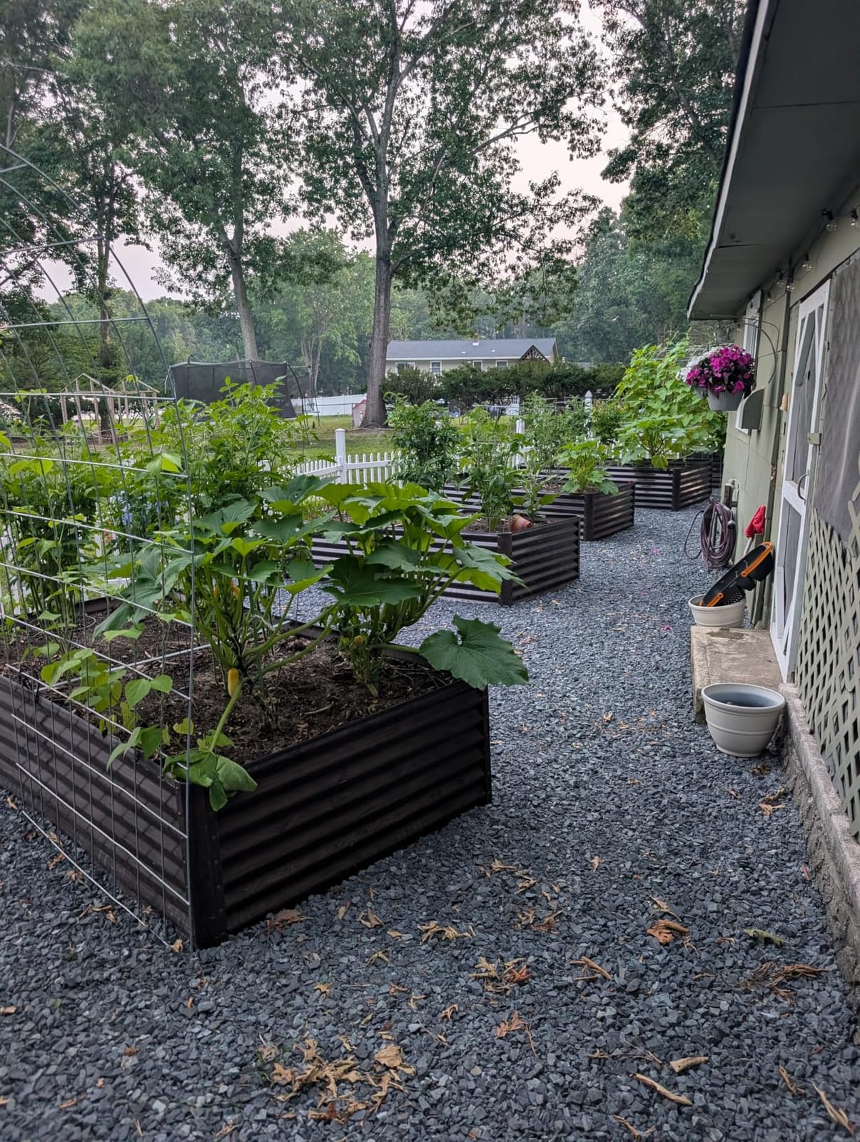 Best Choice Products 6x3x2ft Outdoor Metal Raised Garden Bed, Deep Root Box Planter for Vegetables, Flowers, Herbs, 269 Gallon Capacity, 100% Non Toxic Materials - Gray customer photo 2