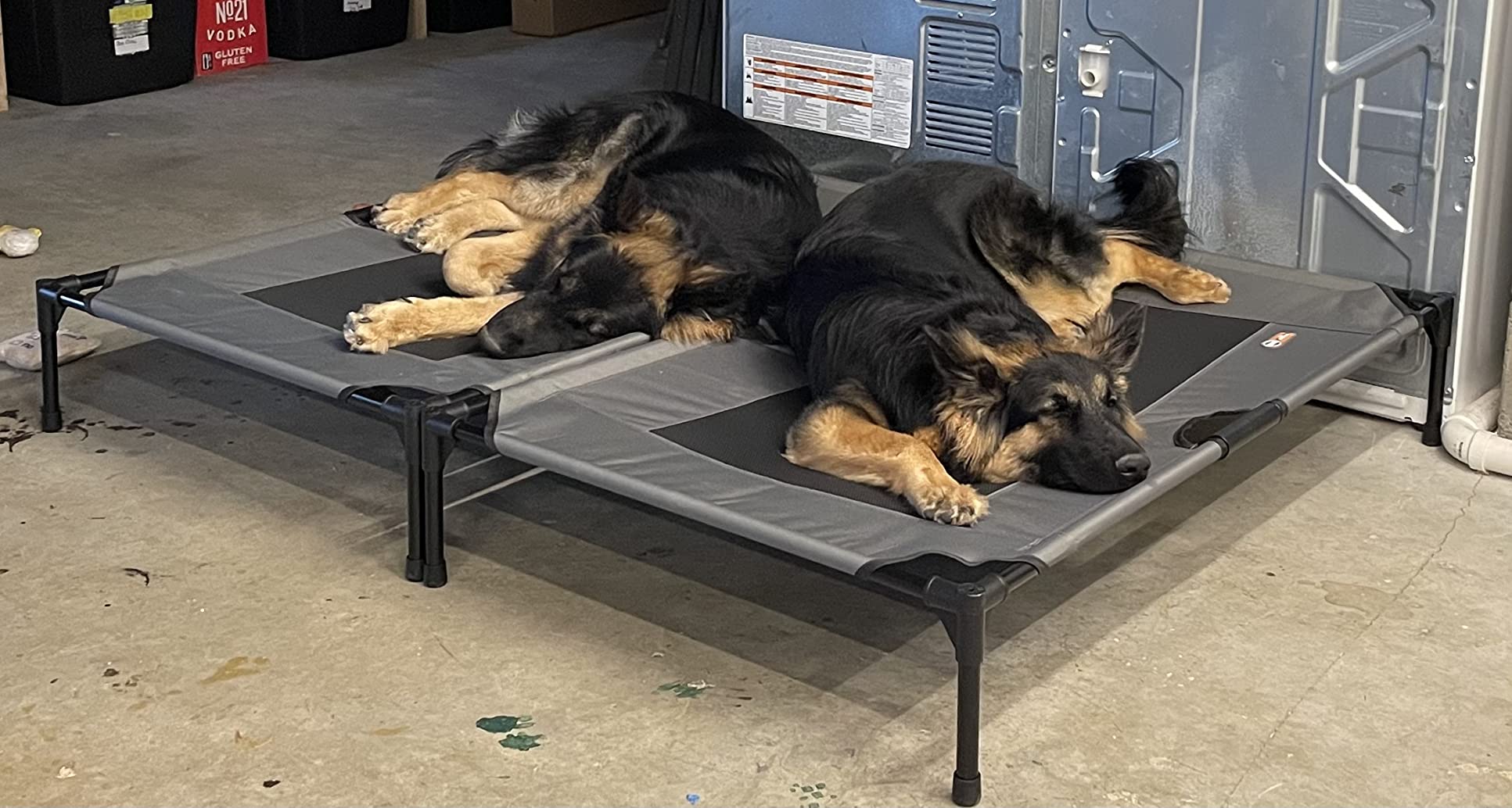 K&H Outdoor Elevated Dog Bed, Cooling Raised Dog Bed, Medium 32x25in, Tan customer photo 1