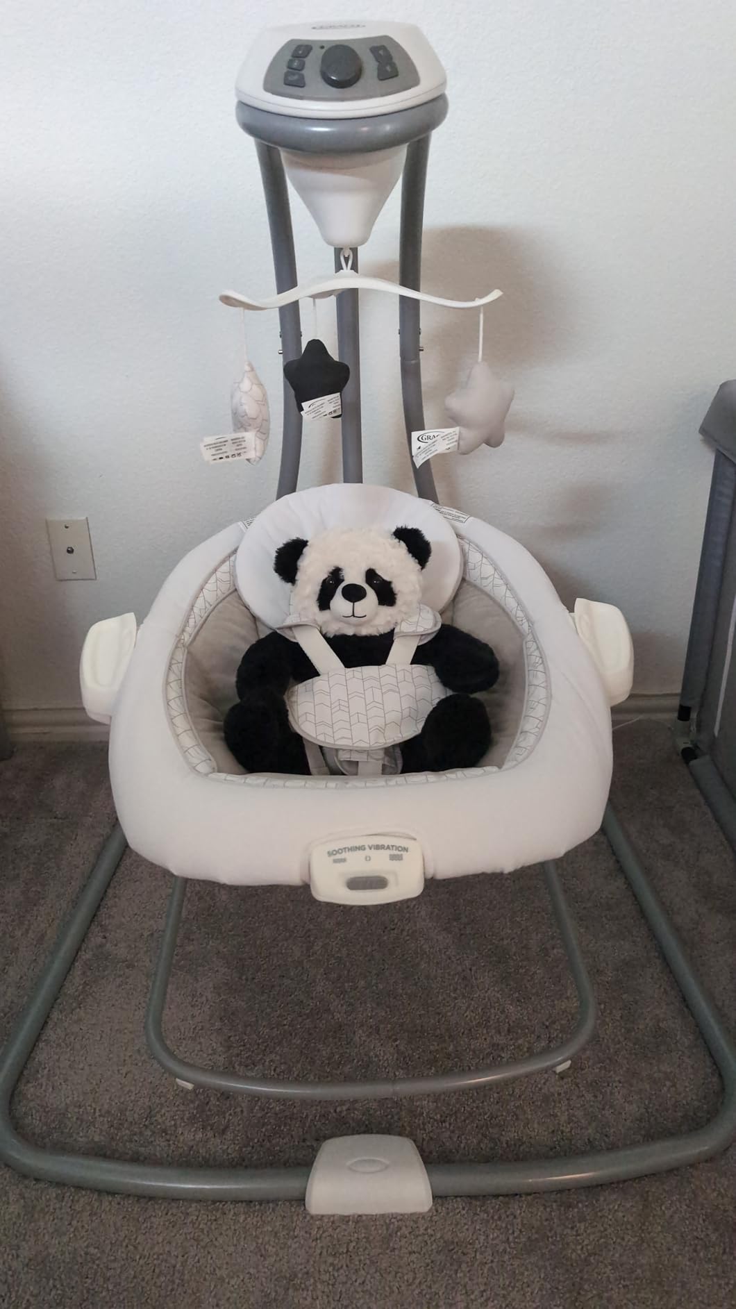 Graco DuetConnect LX 2-in-1 Baby Swing and Bouncer, Redmond customer photo 2