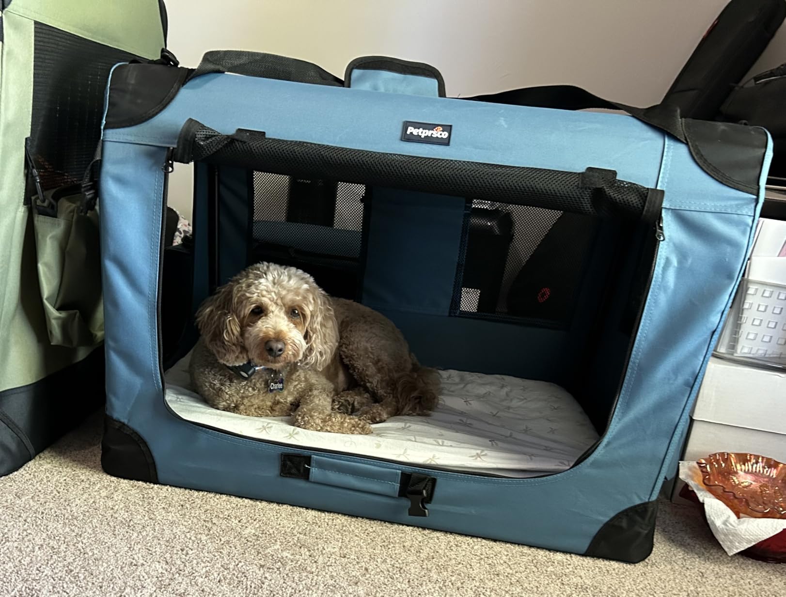 Petprsco Portable Collapsible Dog Crate, 24