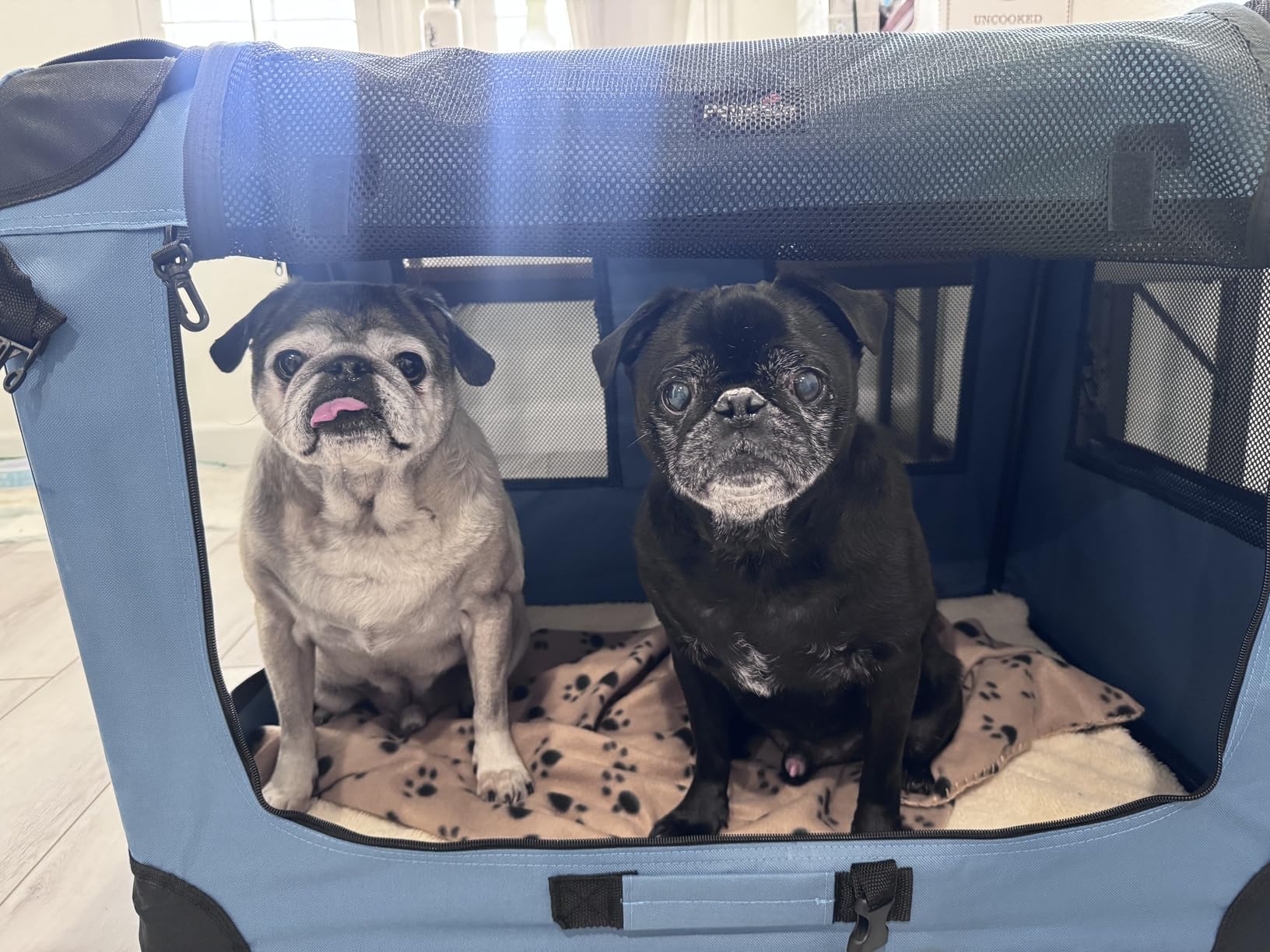 Petprsco Portable Collapsible Dog Crate, 24