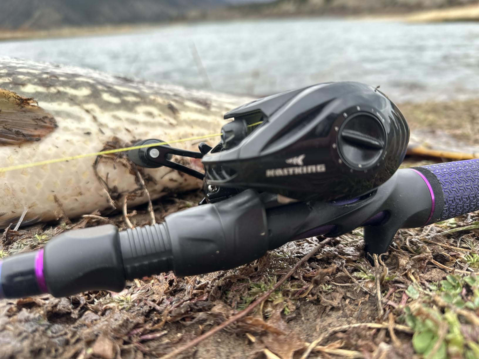 KastKing MegaJaws Elite Baitcasting Fishing Reels, Lightweight, Hight Speed customer photo 1
