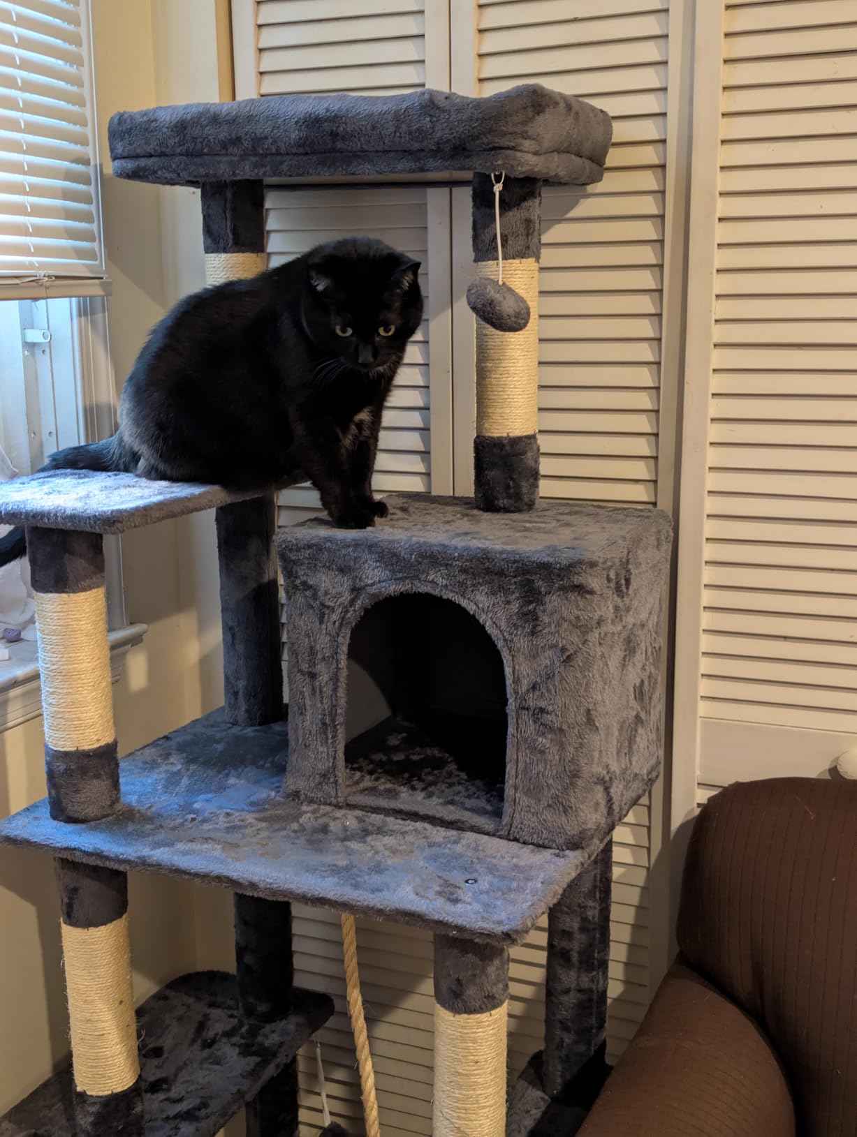 Yaheetech 63in Sturdy Large Cat Tree for Indoor Heavy Cats, Tall Tower | Plush condo, hammock, sisal scratch posts, anti-wobble base, multi-pet friendly, easy assembly, scratch-resistant, light gray customer photo 2
