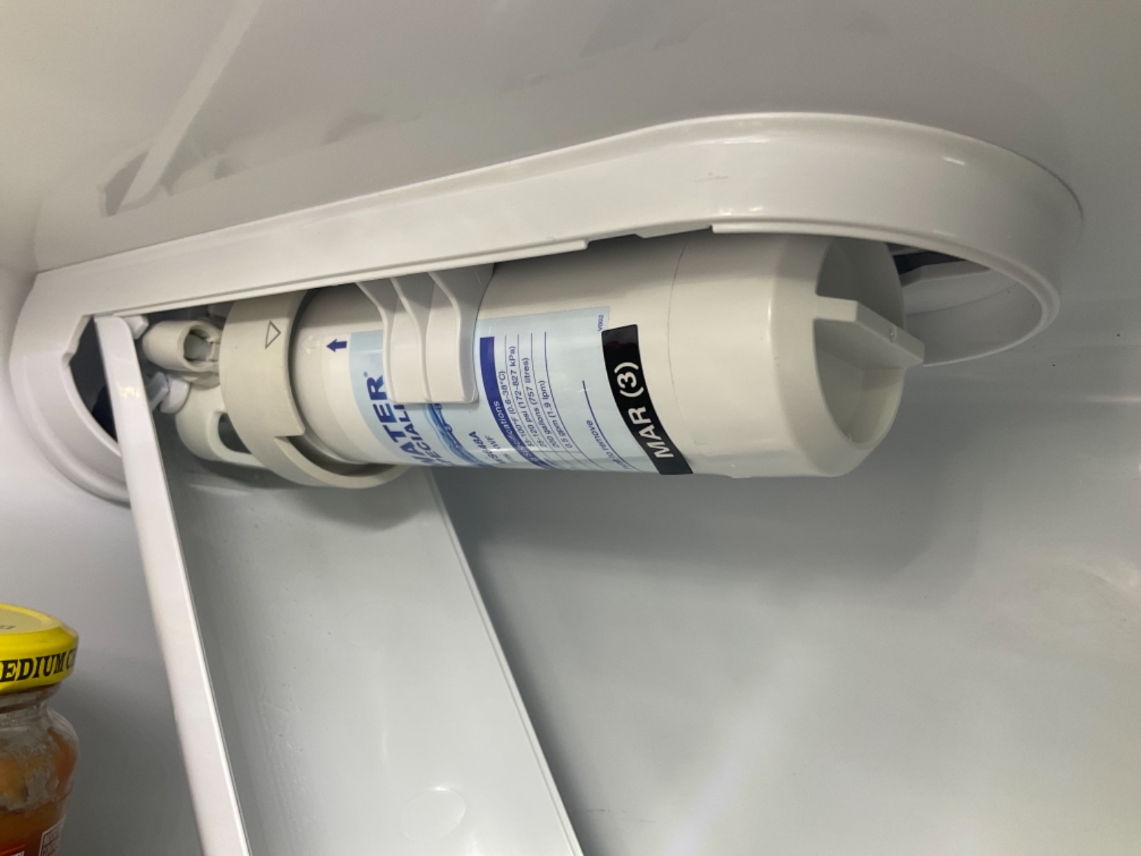 lifeegrn RV Water Filter with Hose Protector - Inline Water Filter, Blue customer photo 2