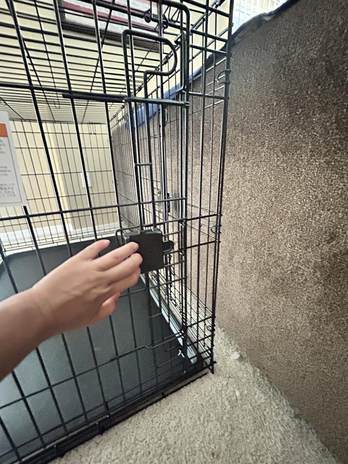 Amazon Basics Portable Metal Wire Dog Crate for Large Dogs, Double Door with Removable Tray, Divider Panel, Easy to Assemble, 48