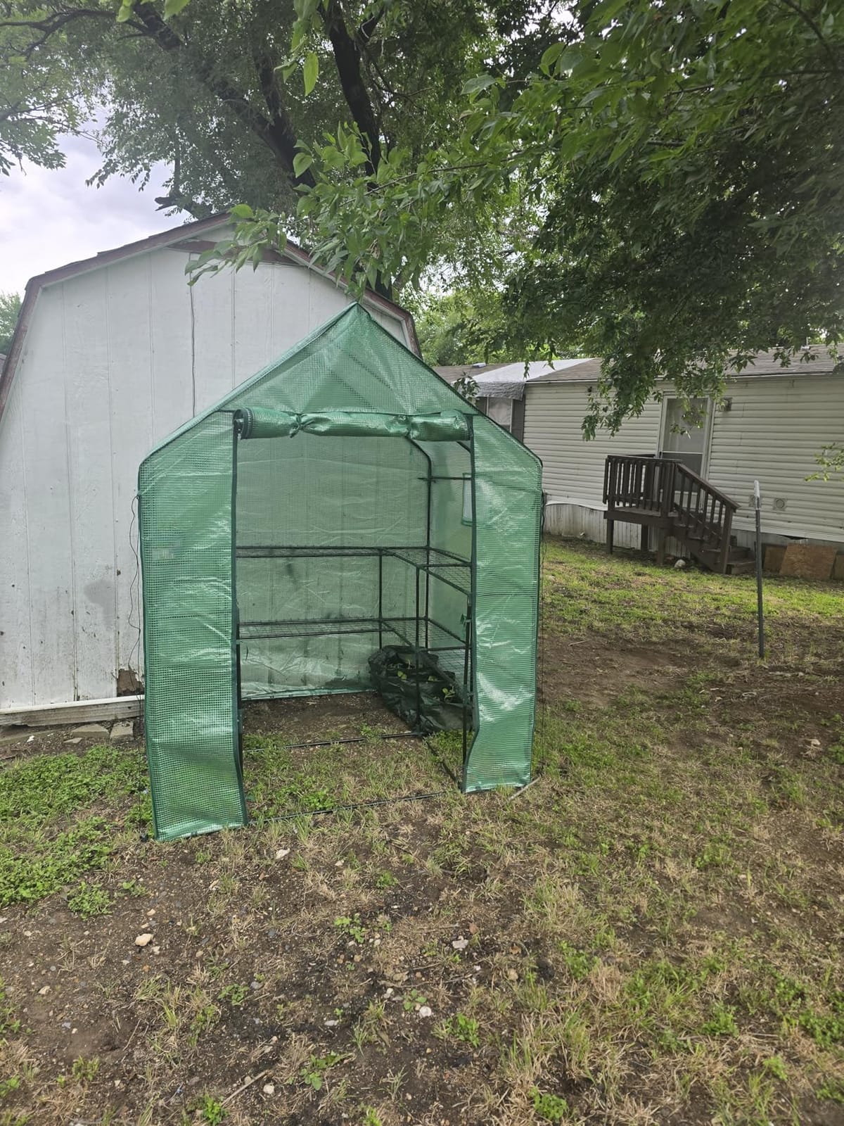 SUNGIFT Walk-in Greenhouse, 57 x 61 x 80 in, 3 Tiers 10 Shelves customer photo 2