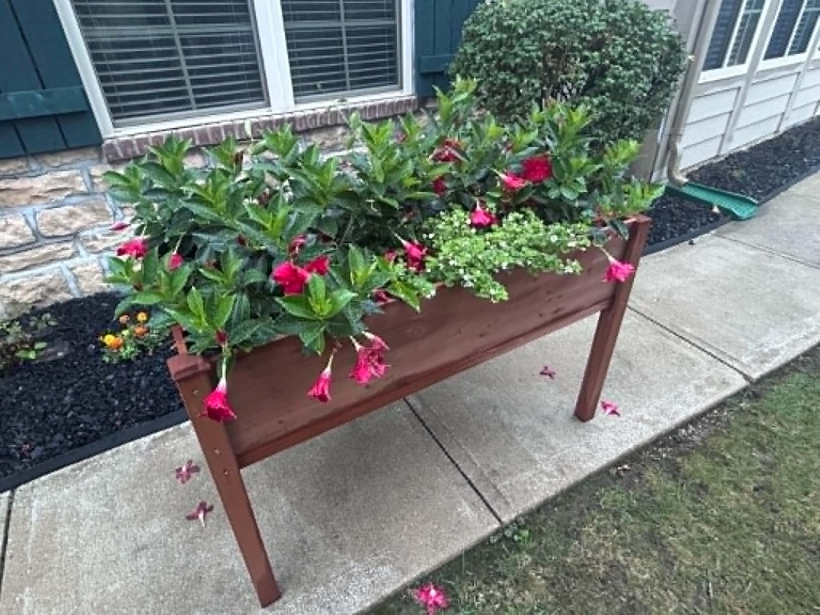 Raised Garden Bed with Legs, 48×24×30 Cedar Wood Elevated Planter Box | Large Growing Capacity,Premium Cedar Wood,Drainage Holes & Liner,Perfect for Outdoor Gardening,Ergonomic Gardening Height customer photo 1