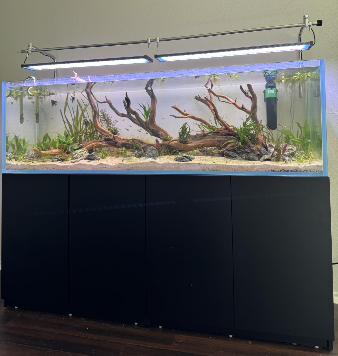 LANDEN Aquarium 120P 72 Gallon Ultra Clear Glass Rimless Fish Tank customer photo 2