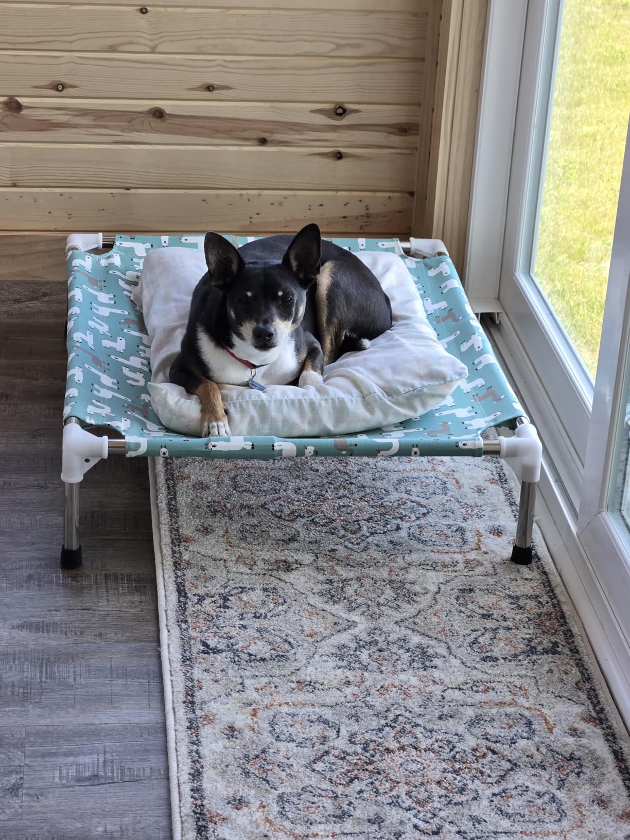 Elevated Dog Bed Pet cot for Small Dogs, Indoor and Outdoor Use customer photo 1