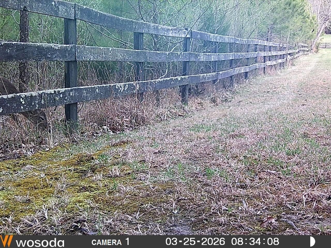 WOSODA 2 Pack Trail Cameras with Night Vision Motion Activated Waterproof,48MP Hunting Game Camera,1080P HD Trail Cam for Wildlife Monitoring,Outdoor Scouting & Security(Non-Cellular Non-WiFi) customer photo 2