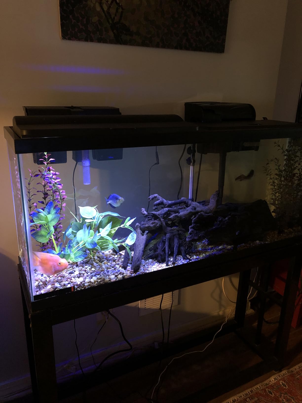 Tetra Complete 55 Gallon Fish Tank Kit for Freshwater & Saltwater Fish customer photo 1