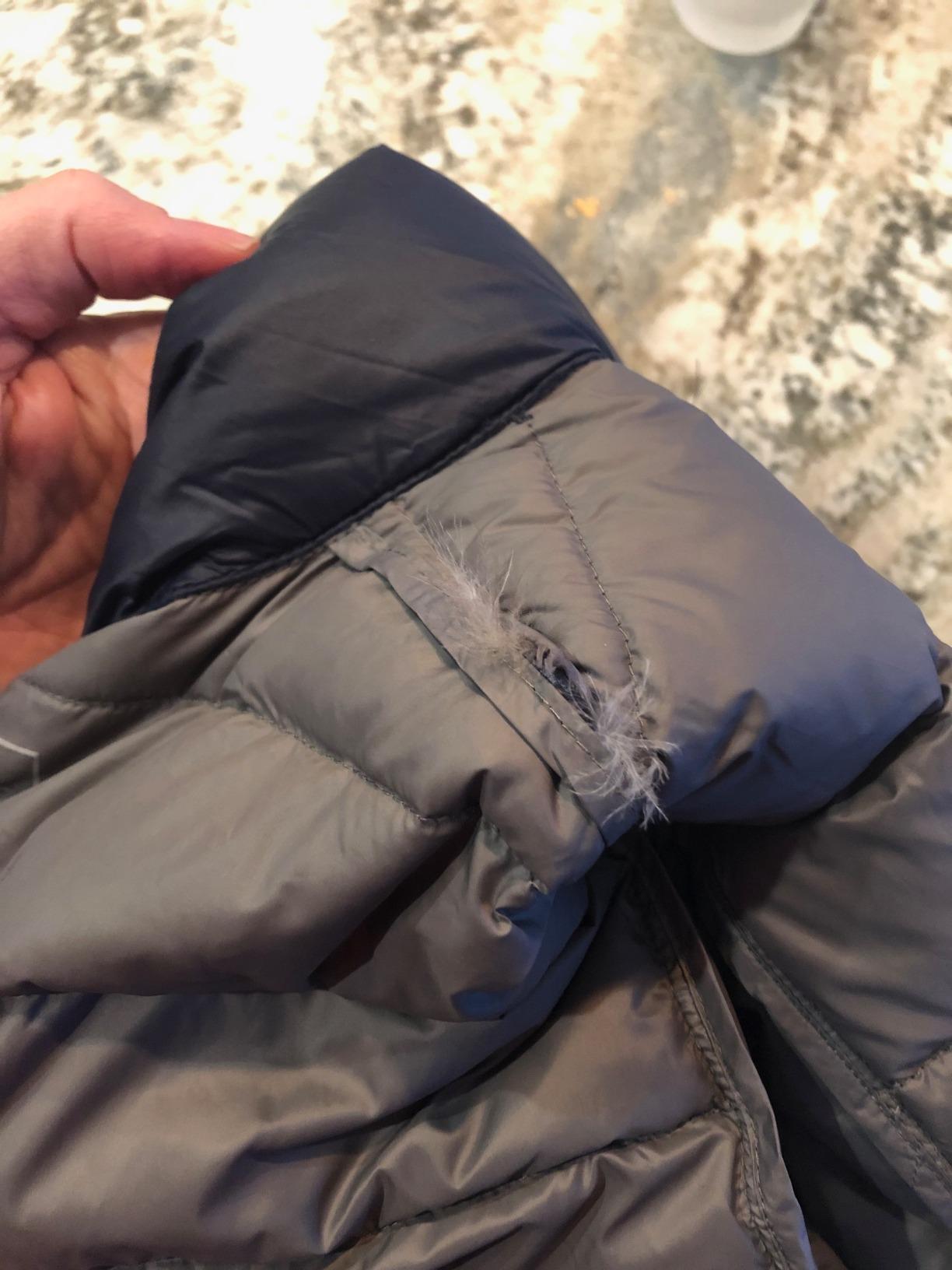 Eddie Bauer Men's CirrusLite Down Jacket customer photo 1