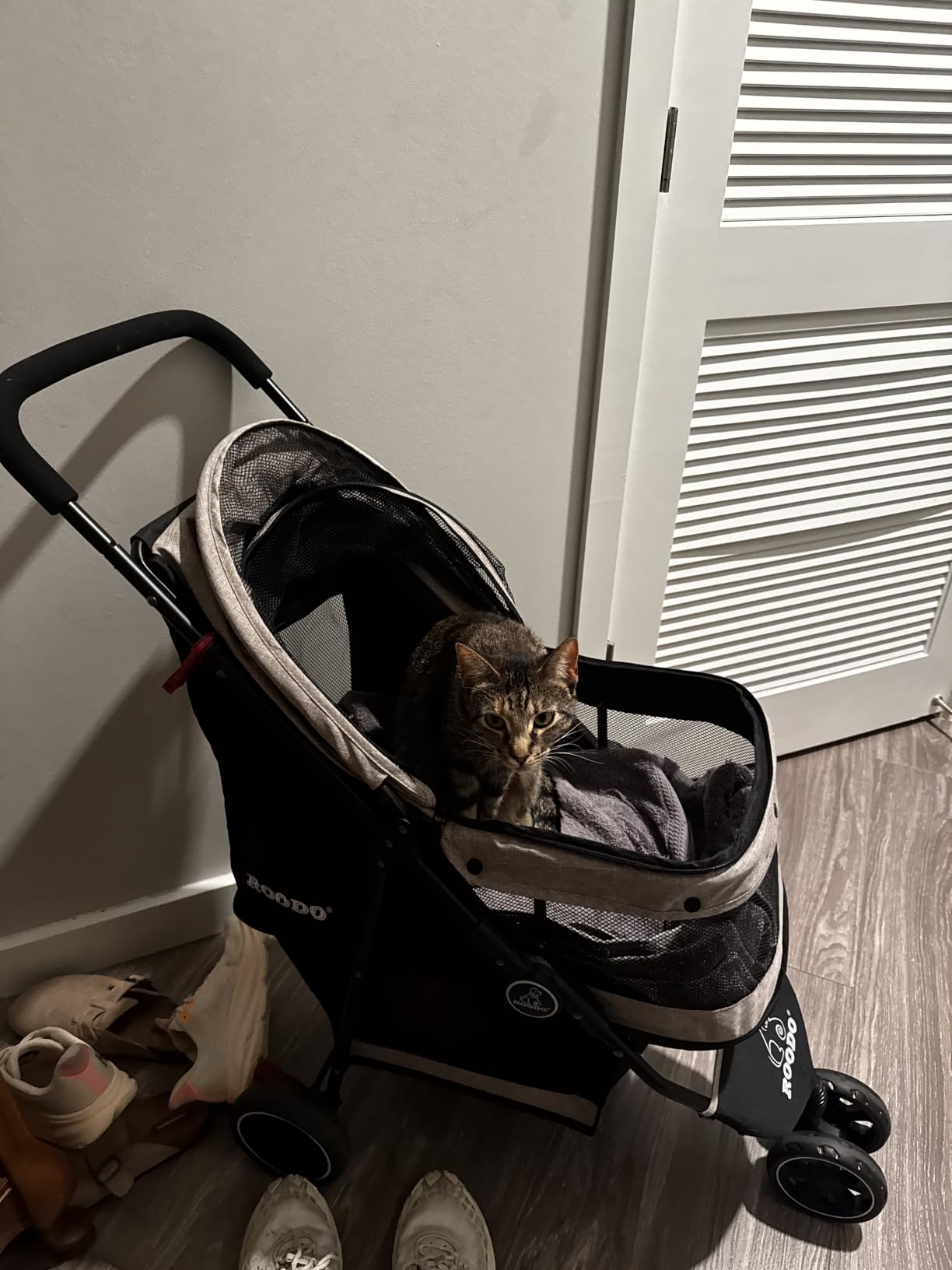 ROODO 3 Wheel Pet Stroller Best Lightweight Foldable Compact Portable Jogger All Terrain Travel Pet Gear Puppy Kitty Stroller for up to 30lbs Medium Small Dogs and Cats(Green) customer photo 2