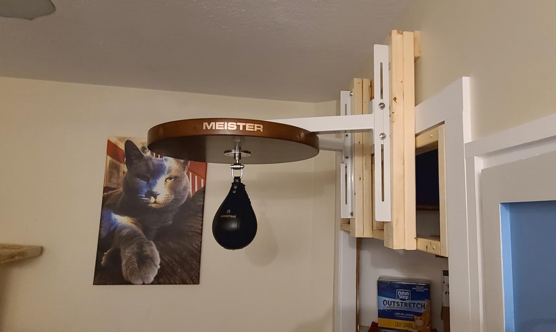 Meister SpeedKills M2 Speed Bag Platform w/Swivel - Stout customer photo 2
