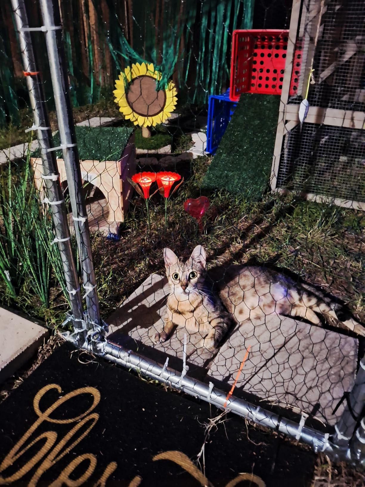 Large Metal Chicken Coop Round Top Upgrade Tri-Supporting Wire Mesh Chicken Run,Chicken Pen with Water-Resident and Anti-UV Cover,Duck Rabbit House Outdoor(19'L x 9'W x 6.5'H) customer photo 2