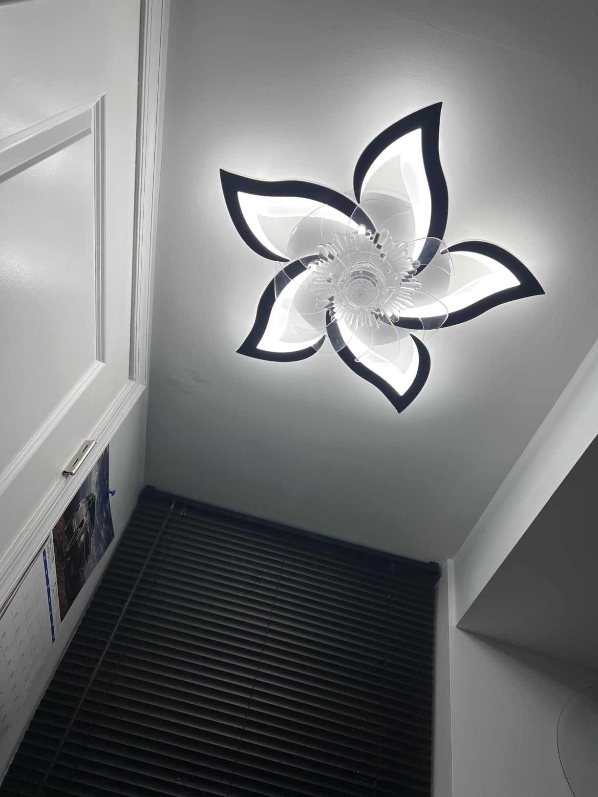 Bevenus Low Profile Ceiling Fan with Lights,110v Modern Dimmable Flower Shape, Remote Control/app Control,Timing 6 Gear Speeds Fan Ceiling Lamp. customer photo 1