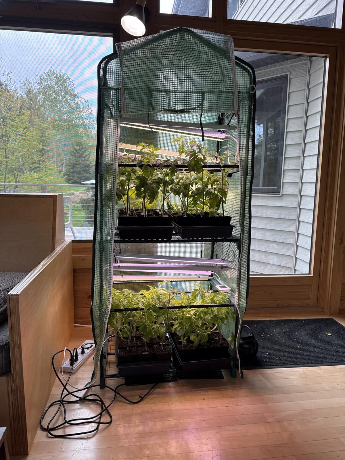 Mini Greenhouse for Outdoors Indoor: 27 x 19 x 62-Inch Ohuhu Small Green House with 4 Tier Shelves, Portable Plastic Greenhouses with Heavy Duty Transparent PVC Cover for Seedling Patio Porch Balcony customer photo 2