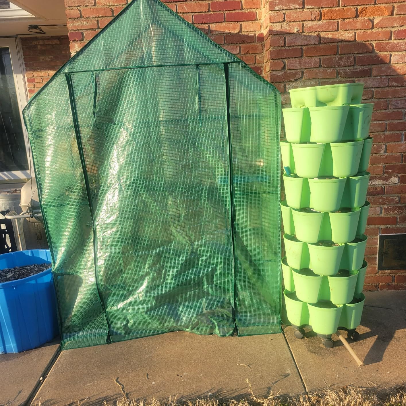 56x55x78 Walk-in Greenhouse for Outdoors, 3-Tier Plant House with 8 Shelves customer photo 1
