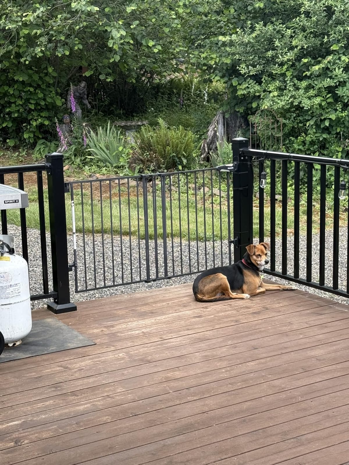 Babelio No Bottom Bar Baby Gate, 28