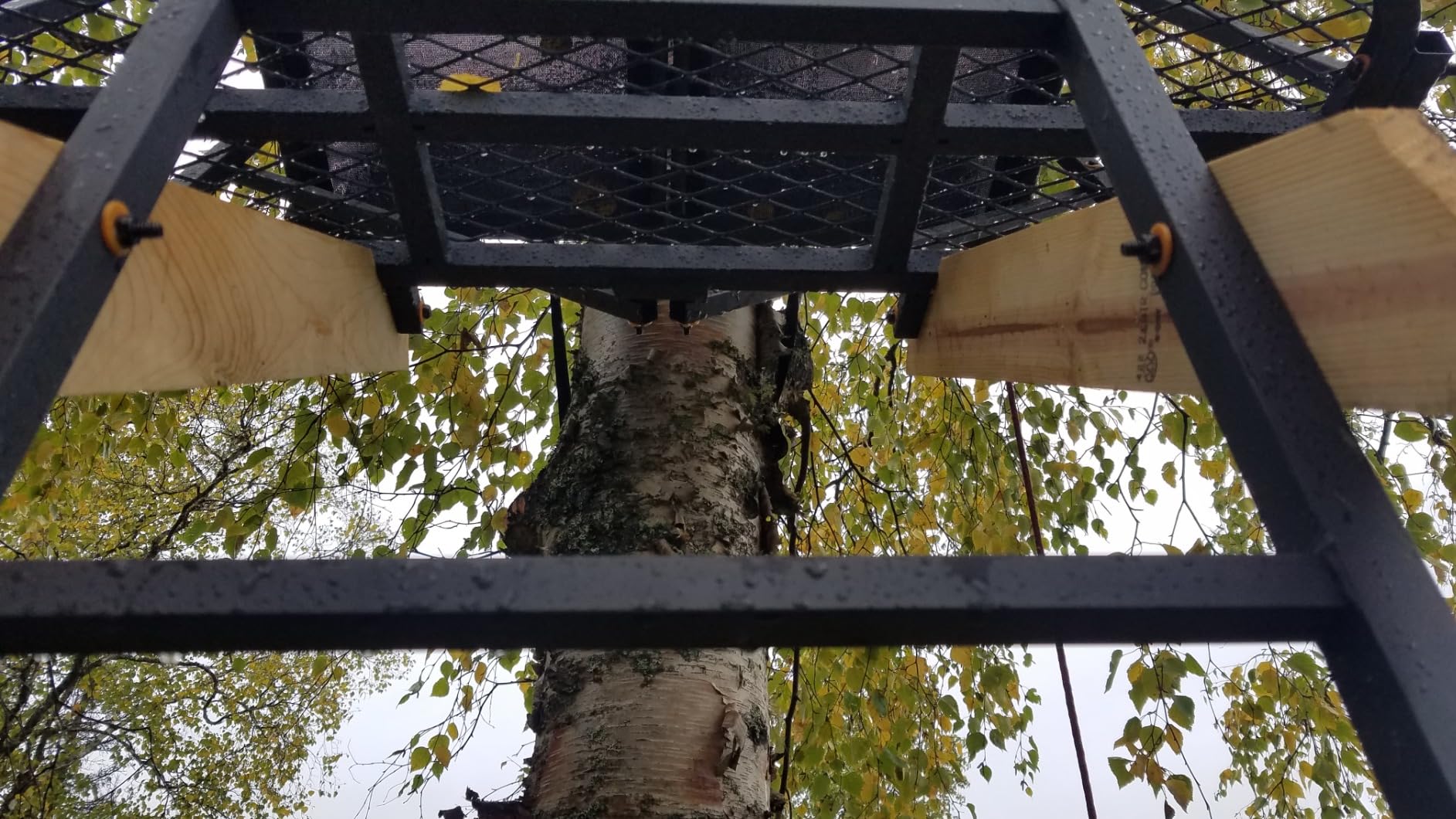 Muddy Maxim 2-Man Ladderstand, Black customer photo 2