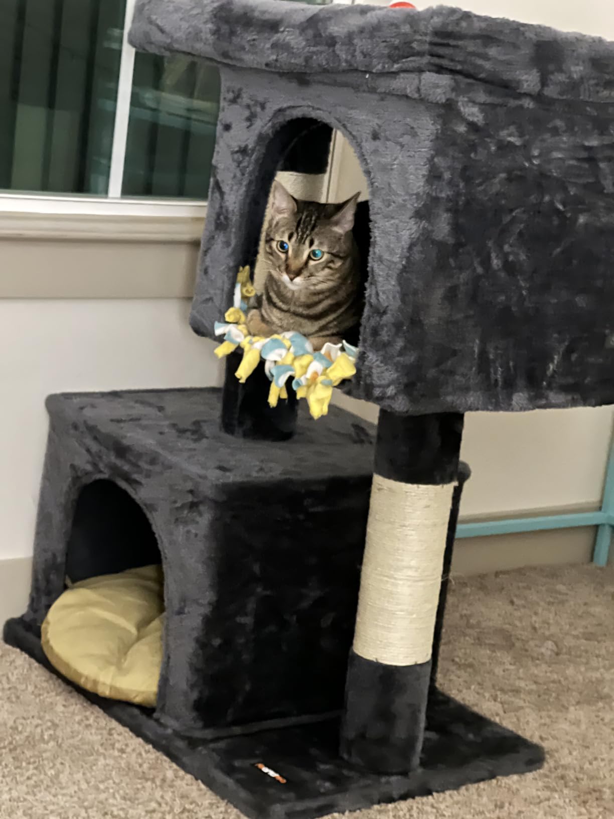 Feandrea Cat Tree, 40.6-Inch Tall Cat Tower, Cute Plush Condo, Light Gray customer photo 1