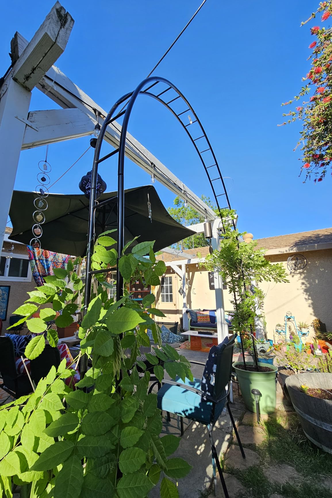 Queension Extra Large Garden Arch 7.2Ft Wide 9.2Ft High, Black customer photo 2