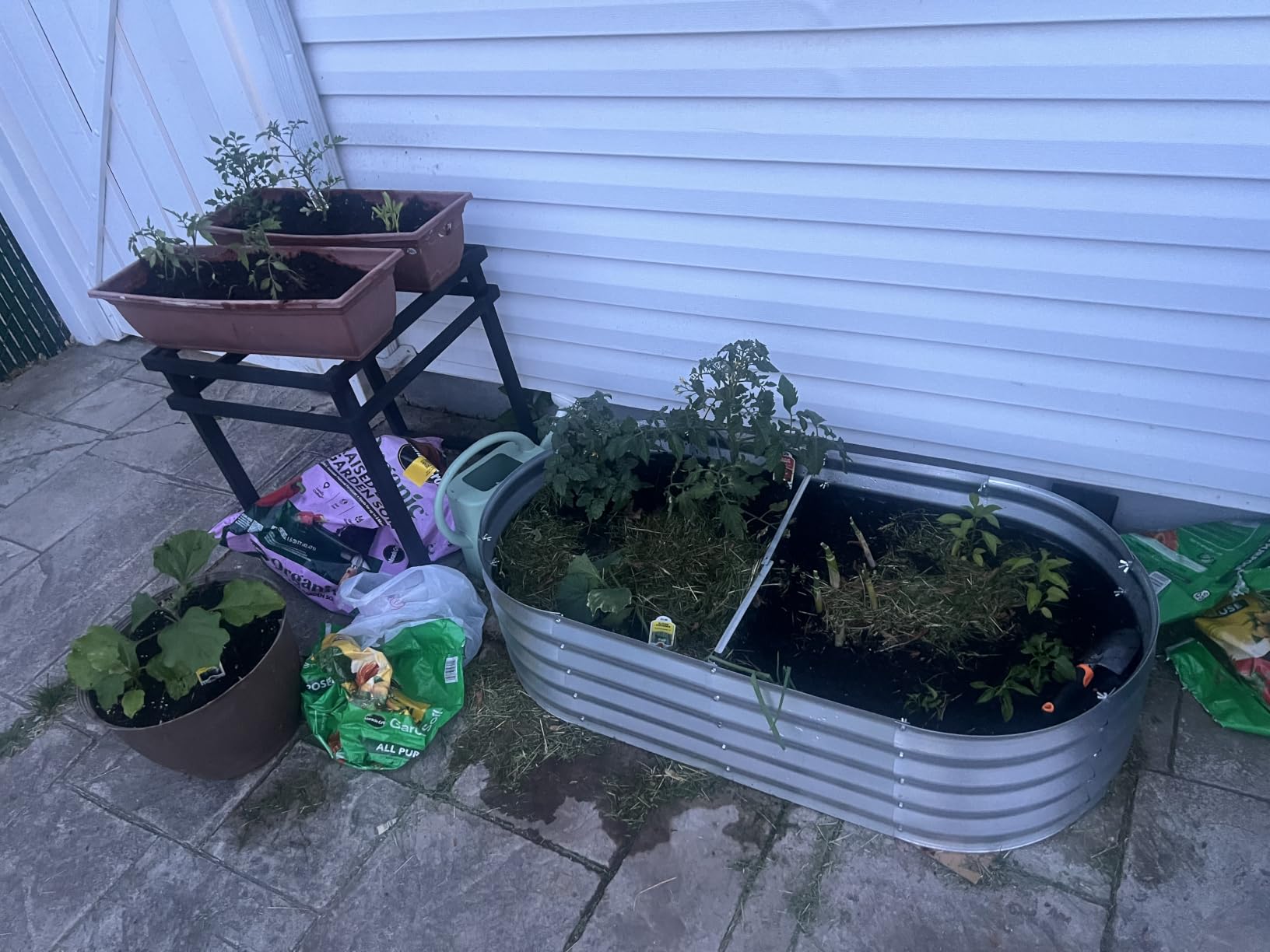 Utopia Home Galvanized Raised Garden Bed Kit 4x2x1ft, Planter Box Raised Garden Beds Outdoor, Easy Assembly Metal Raised Bed for Gardening Vegetables, Fruits, Flowers - Pack of 01 - Silver | Galvanized steel construction Rust resistant Easy assembly Vegetable and flower gardening customer photo 1