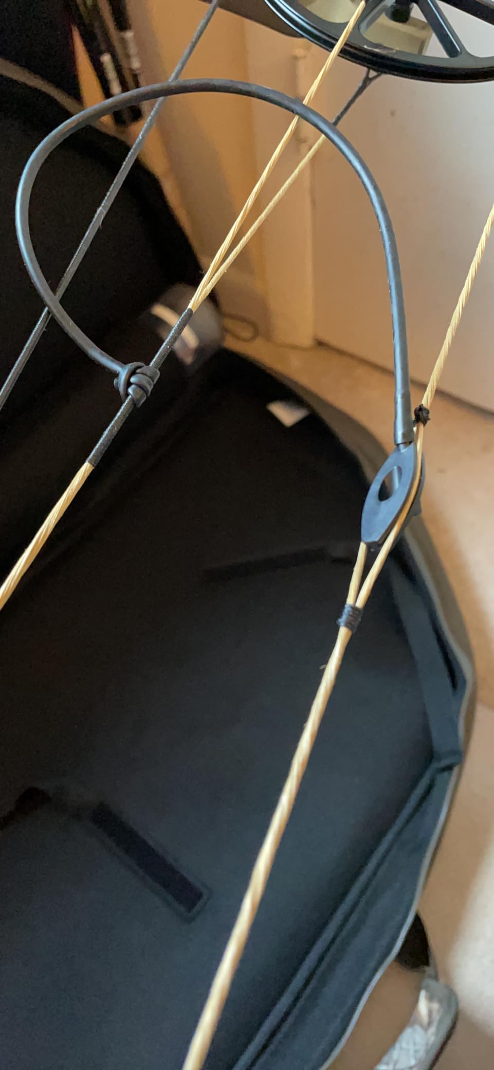 Bear Adapt RTH customer photo 2