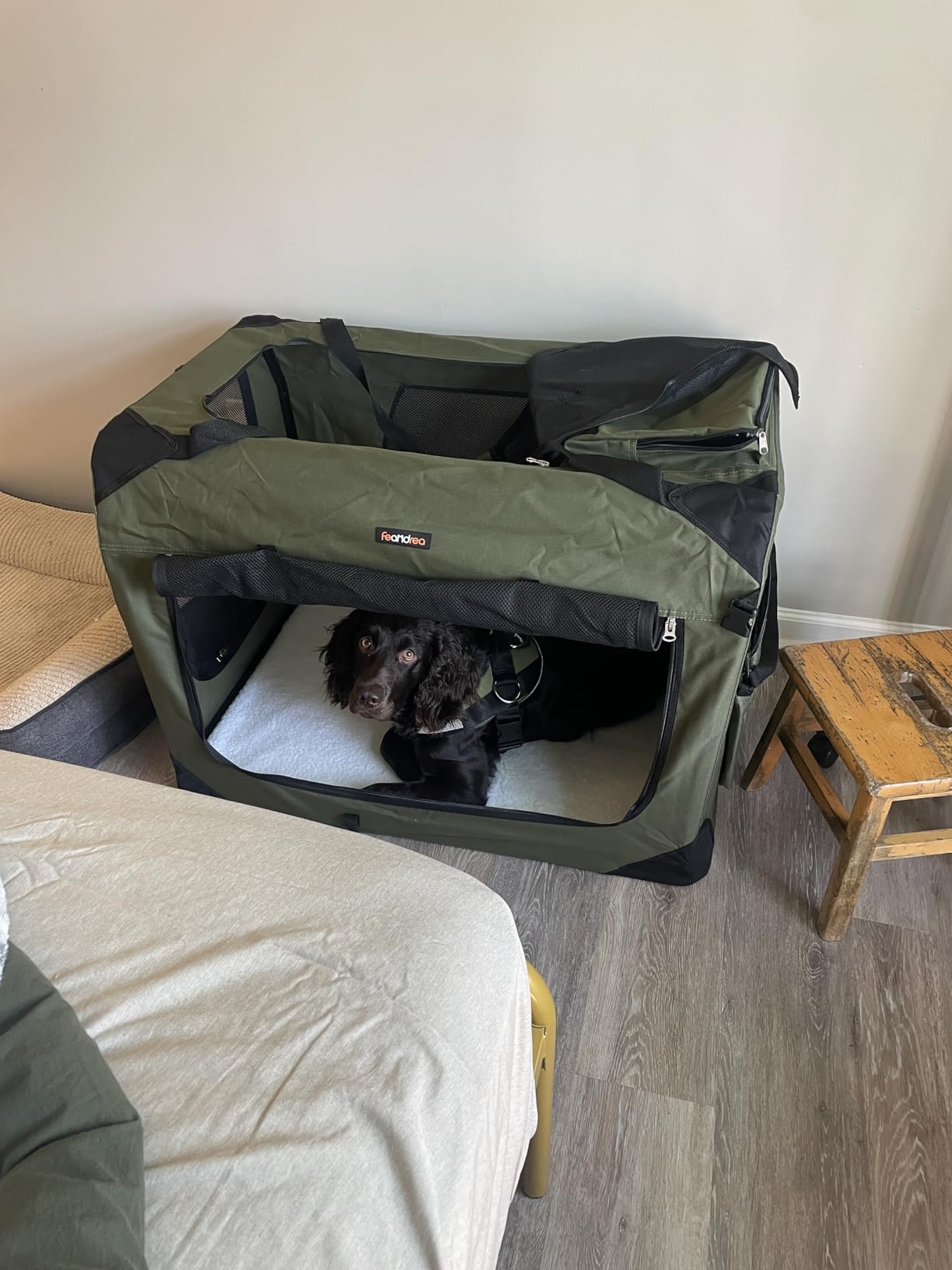 Feandrea Collapsible Soft Dog Crate, Portable Travel Carrier, 24 Inches customer photo 1
