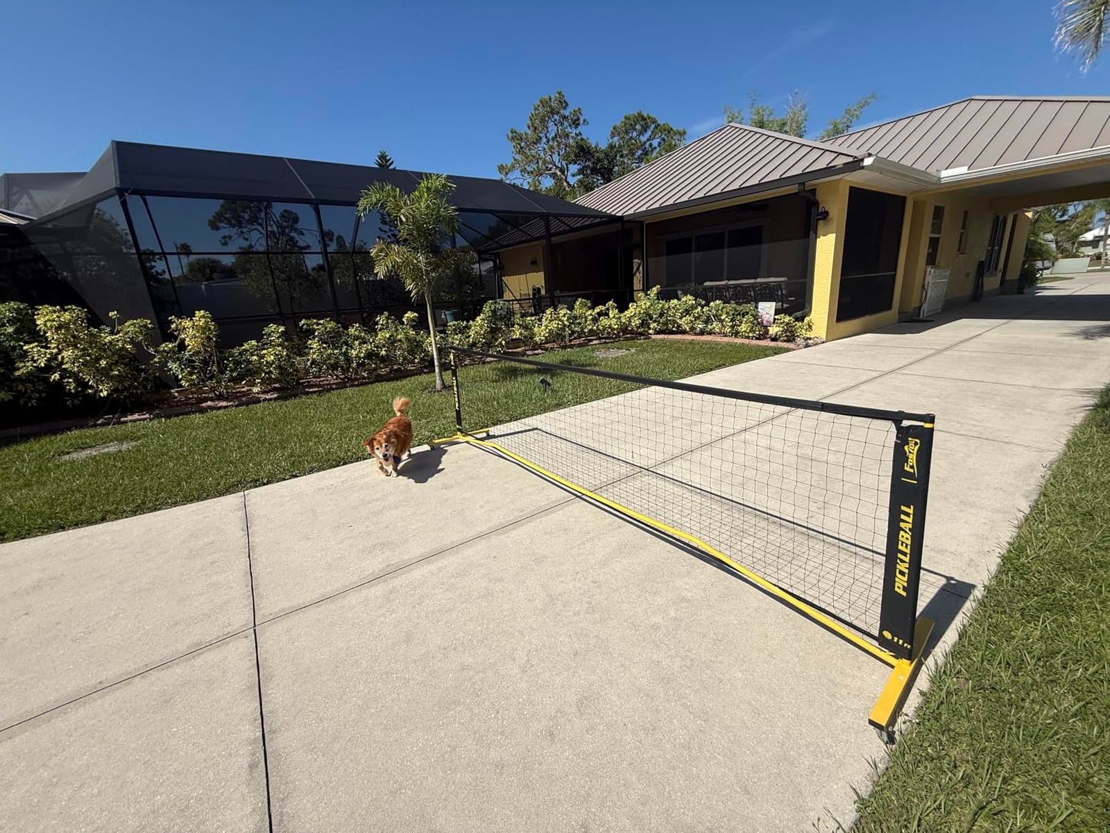 Fostoy Portable Pickleball Net Set with Wheels, 22 FT & Half Court 11 FT | Pickle Ball Net System, Steady Metal Frame with Carry Bag for Backyards, Driveways, and Garages customer photo 2
