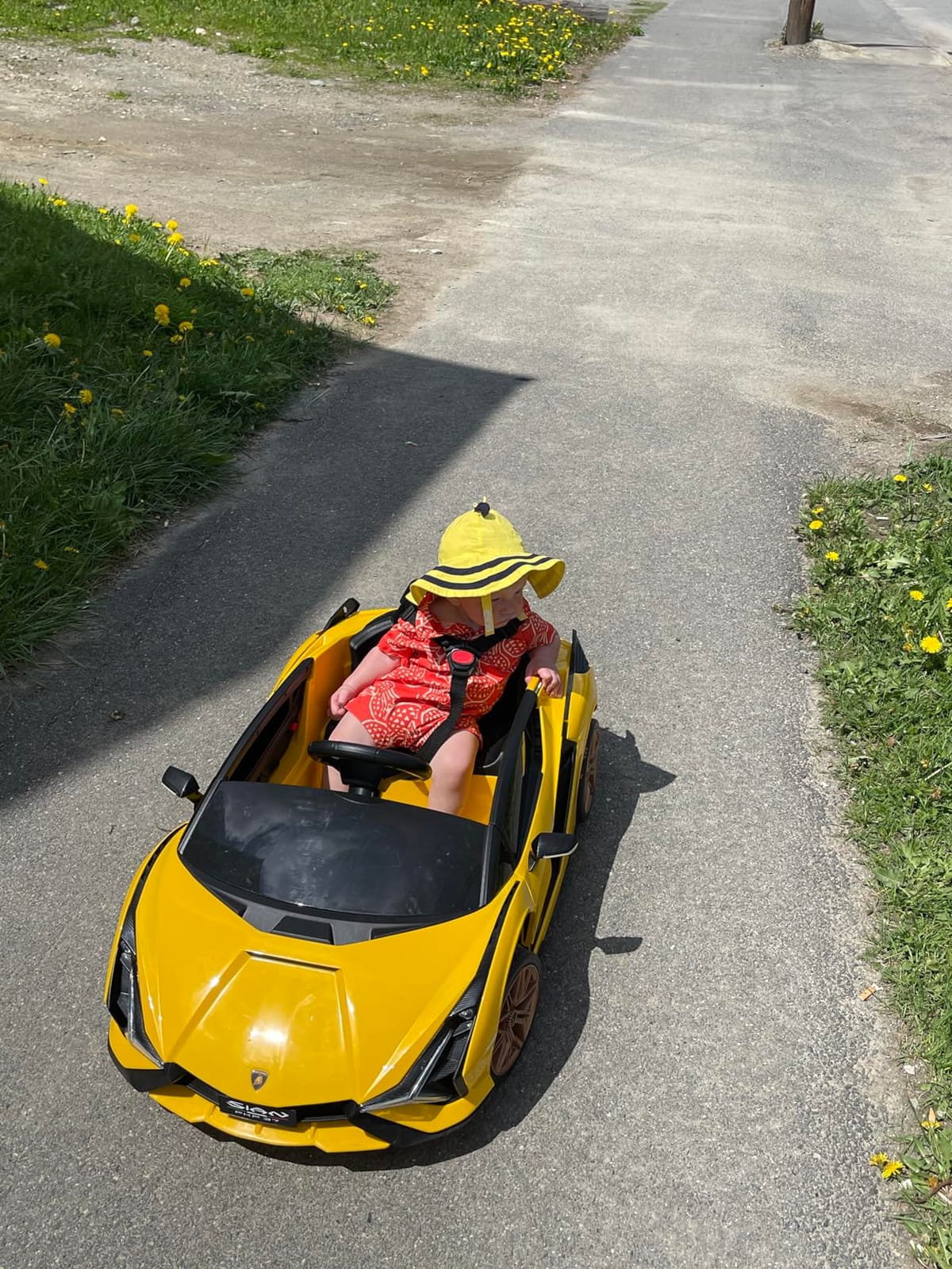 INFANS 12V Licensed Lamborghini Sian Kids Ride On Car with Parent Remote Control, Spring Suspension, MP3 Player, Electric Toy Roadster Carbon Fiber Textured for Toddler (Green) customer photo 1