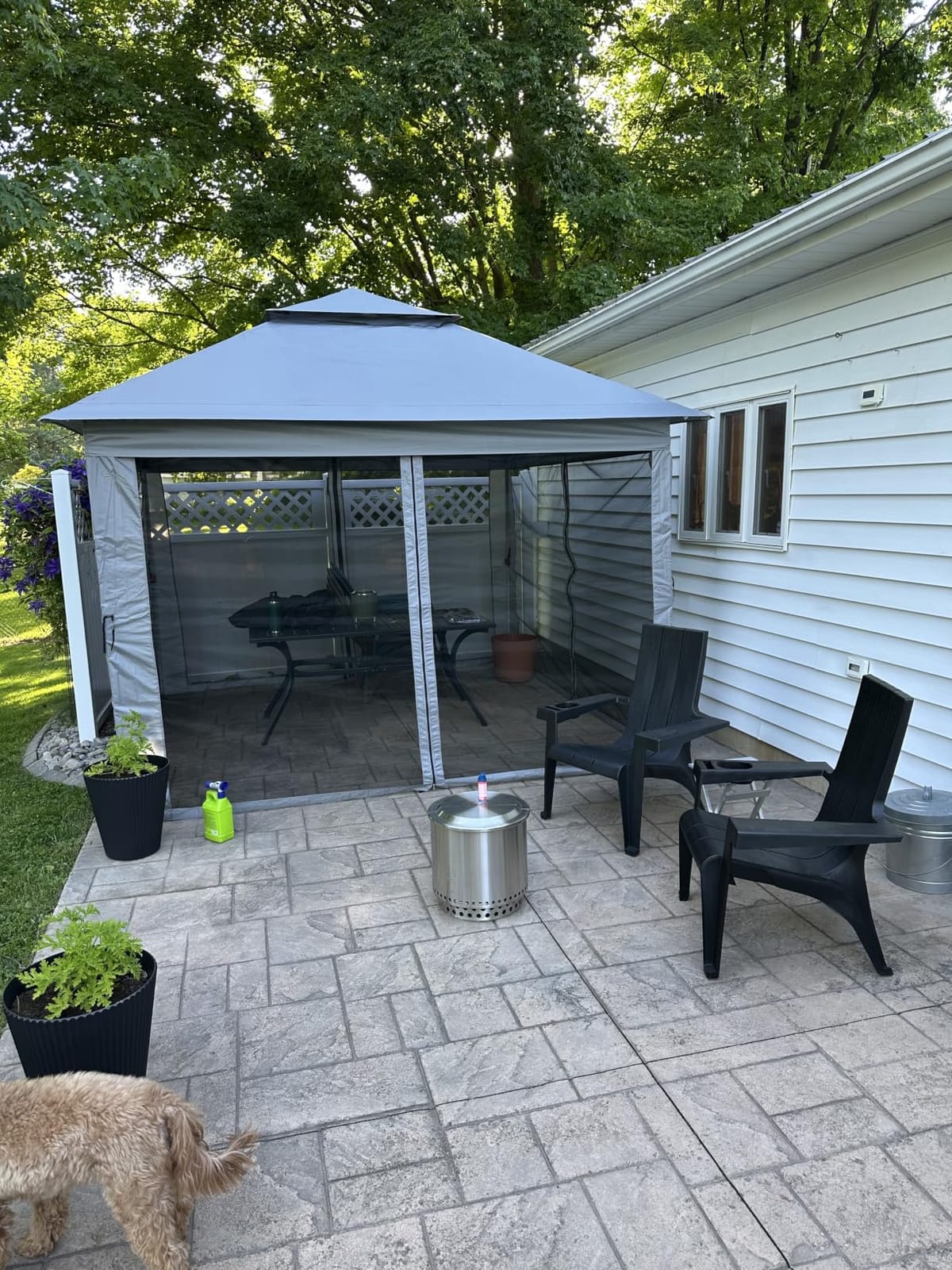 CROWN SHADES 11x11 Pop Up Gazebo, Outdoor Canopy Tent, Gray customer photo 1