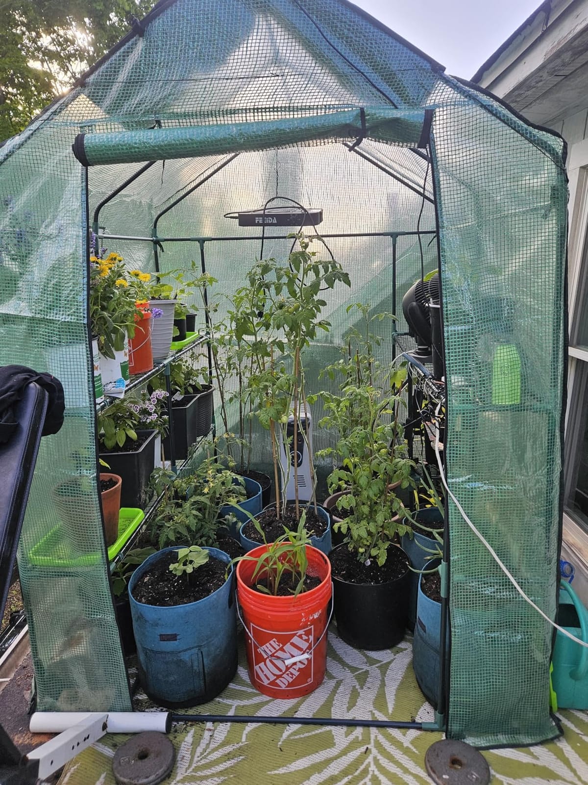 Greengro Greenhouse, 57 × 57 × 76