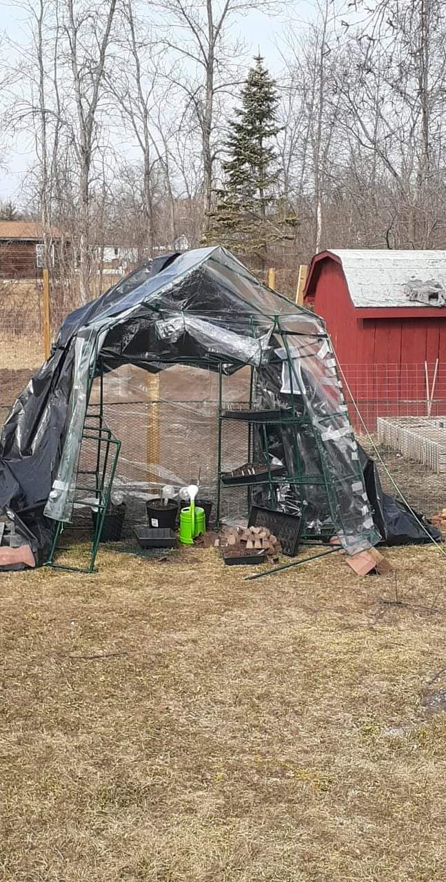 VIVOSUN Mini 4-Tier Greenhouse with Wheels, 27 x 19 x 63-Inch Reusable Portable Warm House with Clear PVC Cover and Shelf for Compact Garden and Small Backyards, with Wheels customer photo 1